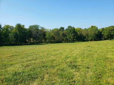 view of lot from the NE corner