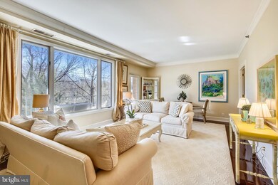 8101 Connecticut Ave unit N302, Chevy Chase, MD 20815 - photo 6