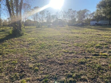 7444 King St, Manvel, TX 77578 - photo 7