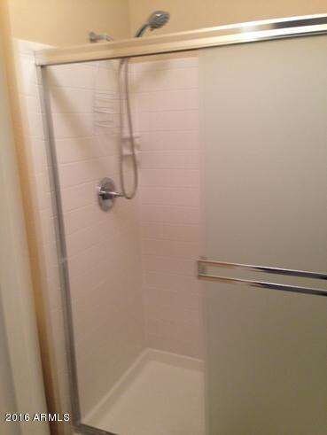 Master Bath Walk-in Shower