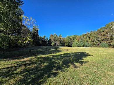 0A Ellison Ridge Rd, Jumping Branch, WV 25969 - photo 4