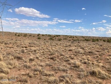 5324 White Antelope Rd, Snowflake, AZ 85937 - photo 2