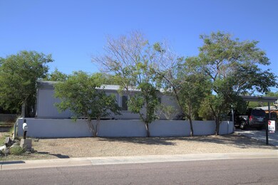 IMG_3693 (2)