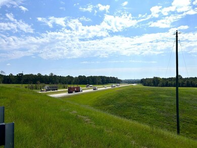 0 Bullard Rd, Dry Branch, GA 31020 - photo 6