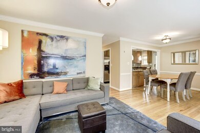 2510 5th St S, Arlington, VA 22204 - photo 5