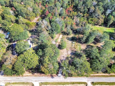 107 Bonnie Creek Dr, Coldspring, TX 77331 - photo 3