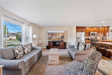 749 Maplewood Ave, Sheffield Lake, OH 44054 - photo 5