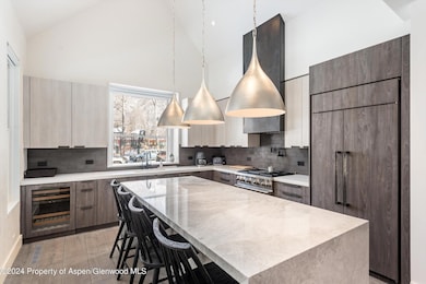 131 W Bleeker St, Aspen, CO 81611 - photo 7