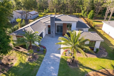 15210 Pendio Dr, Bella Collina, FL 34756 - photo 2