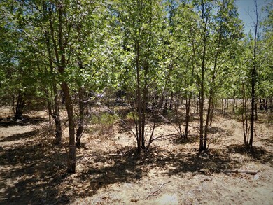 6283 Juniper Ridge Rd, Show Low, AZ 85901 - photo 4