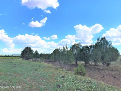 228 Off of Antelope, Ash Fork, AZ 86320 - photo 3