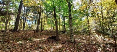 Lot-D Harkness Rd, Amherst, MA 01002 - photo 6