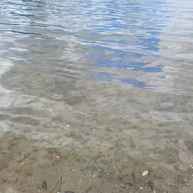 V/L Round Lake Hwy, Manitou Beach, MI 49253 - photo 5