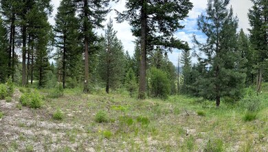 Level Building Site Off Rehn Loop