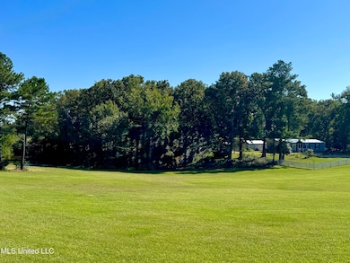 3114 Mathis Rd, Crystal Springs, MS 39059 - photo 7