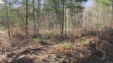 0 N Littleton Rd unit 4859009, Littleton, NH 03561 - photo 5