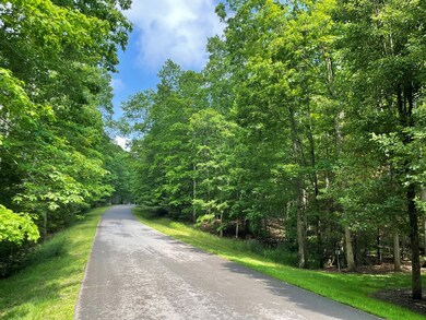 0 Saddle Brook Ln, Daniels, WV 25832 - photo 5