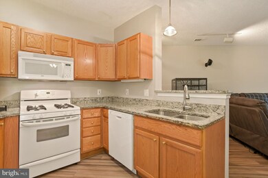 4408 Helmsford Ln unit 103, Fairfax, VA 22033 - photo 5
