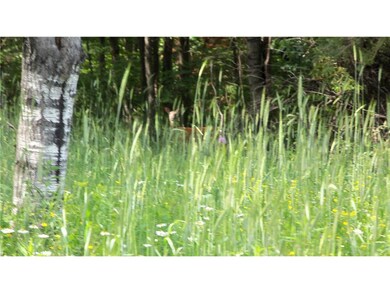 90 Acres Krnstead Rd, Mellen, WI 54546 - photo 7