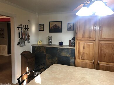 7900 W Greene Cty Rd, Paragould, AR 72450 - photo 5