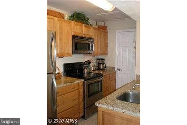 12150 Penderview Terrace unit 1337, Fairfax, VA 22033 - photo 4