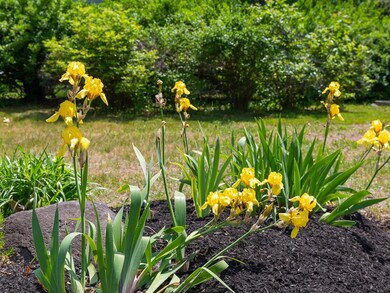 11 Sanborn Rd, Hampton, NH 03842 - photo 5