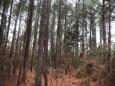 View of landscape featuring a view of trees