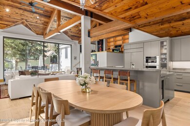 437 W Smuggler St, Aspen, CO 81611 - photo 7