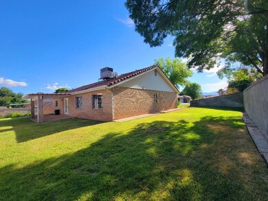 Side and back yard