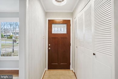 4517 Morgal St, Rockville, MD 20853 - photo 5