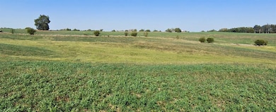 0 230th Ave, New Virginia, IA 50210 - photo 3