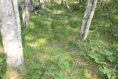 0 Sikowski Ln, Stephenson, WI 54114 - photo 2