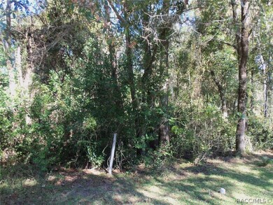 22 SW 191st Ave, Dunnellon, FL 34432 - photo 2