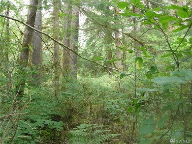 0 Elkhorn Rd, Raymond, WA 98577 - photo 5