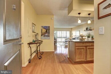 The Aurora Condominiums unit 1109, Silver Spring, MD 20910 - photo 7