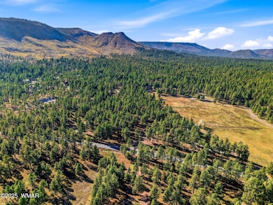 25319 US Hwy 191, Alpine, AZ 85920 - photo 4