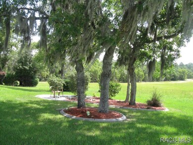 Drought resistant Bahia grass!