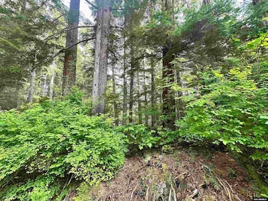 100 Yakobi Way, Sitka, AK 99835 - photo 5