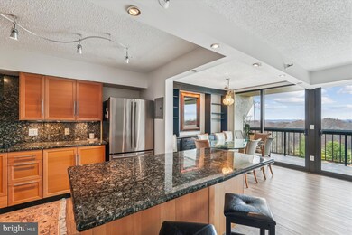 Chelsea Towers unit 1502, Bethesda, MD 20817 - photo 3