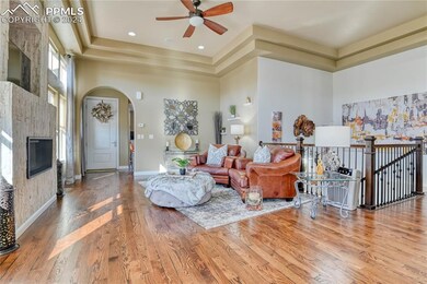 Living room featuring a raised ceiling, ceiling fa