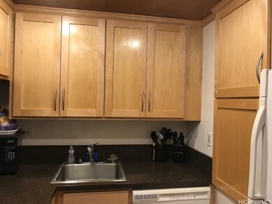 Hawaiian Princess Makaha unit 505, Waianae, HI 96792 - photo 6