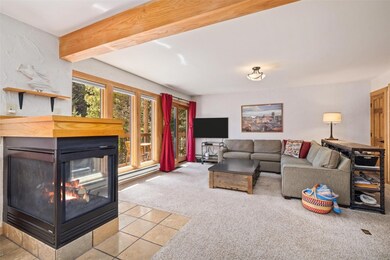 Living room featuring a multi sided gas fireplace