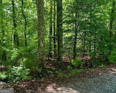 0 Hillbilly Holler unit 10349381, Blue Ridge, GA 30513 - photo 2