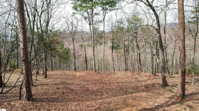 44 Mountain Oak Ln, Travelers Rest, SC 29690 - photo 5