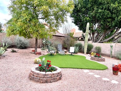 6646 Saddleback Backyard