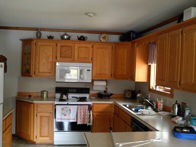 190 W Lincoln St, Brohman, MI 49312 - photo 2