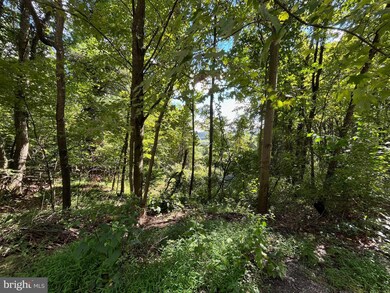 Lots 68 & 70 Evergreen Dr, Tamaqua, PA 18252 - photo 2