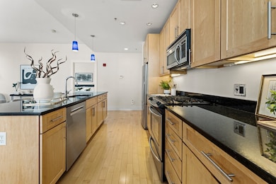 Lincoln Plaza II unit L312, Boston, MA 02111 - photo 2