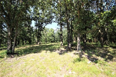 52.36 Acres Butler Rd, Siloam Springs, AR 72761 - photo 5