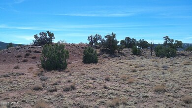 0 Windsor Valley Ranch unit 254962, Concho, AZ 85924 - photo 3